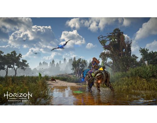 Фото №6 - Horizon: Forbidden West PS5 Б.У.